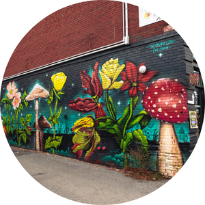 glebe murals Rent with Minto Apartments